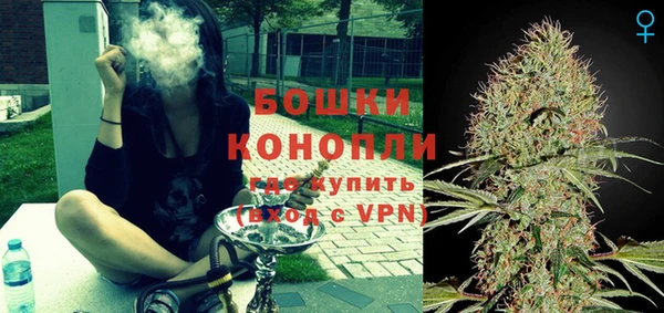хмурый Богородск