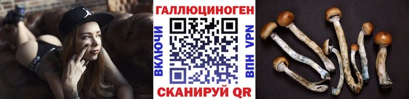 Псилоцибиновые грибы прущие грибы  цена наркотик  Светогорск 